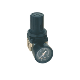 [ER1000-M55] E1000 Regulador M5, manómetro redondo, Bar/Psi