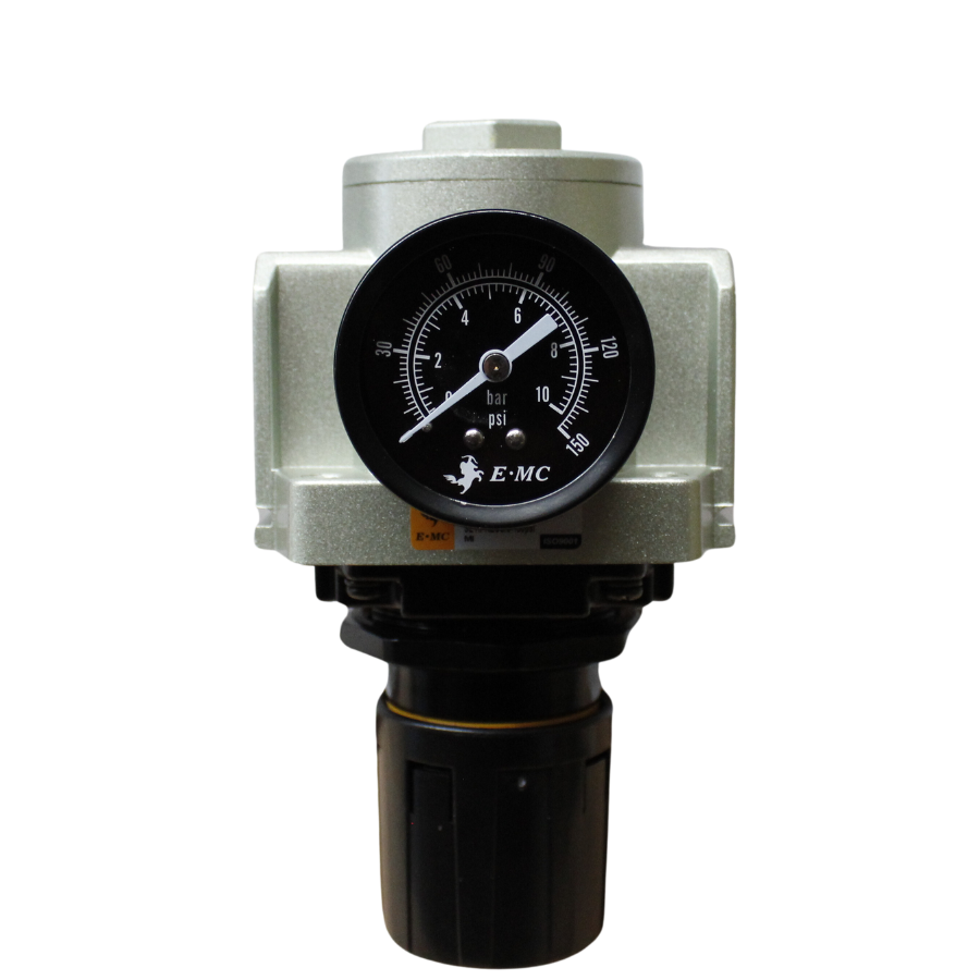 Filtro 5 micras, tamaño 4, purga manual puertos 3/8" BSP.