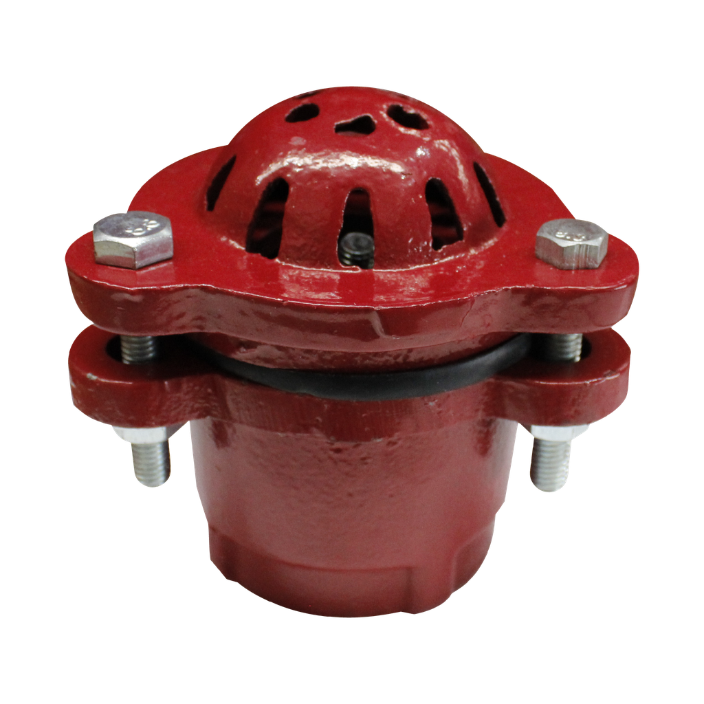 [TX-FVA-002] VALVULA DE PIE 2"